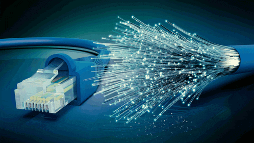 a blue ethernet cable with a bunch of optical fiber coming out of it