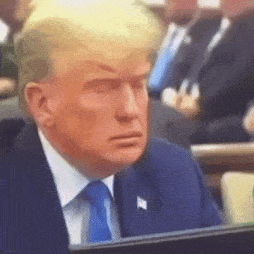 donald trump is wearing a suit and tie and sitting in front of a computer screen .