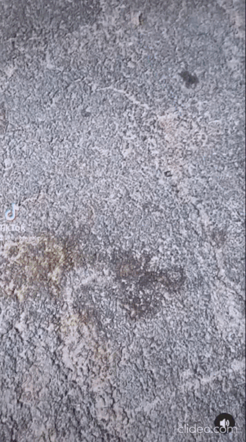 a blue vacuum cleaner is sitting on a gray concrete surface