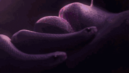 a snake is crawling on a person 's shoulder in a pixelated image