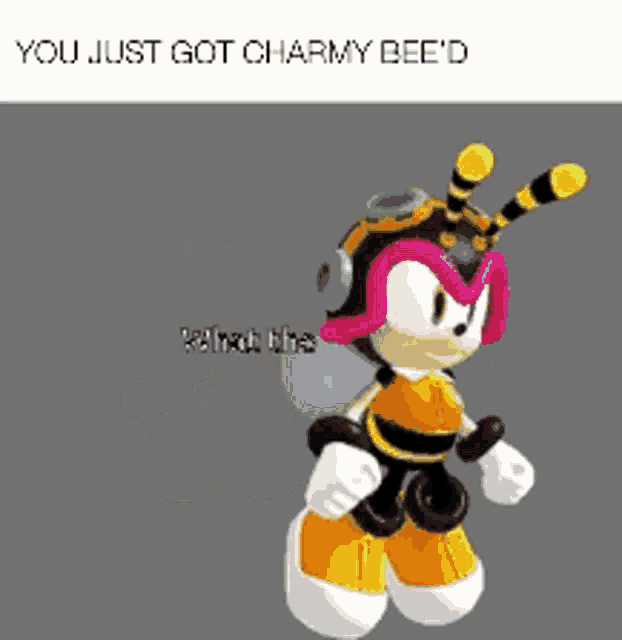 a picture of a cartoon character dressed as a bee with the caption `` you just got charmy bee 'd ''