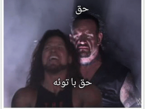 True Iranparody GIF - True Iranparody Wwe GIFs