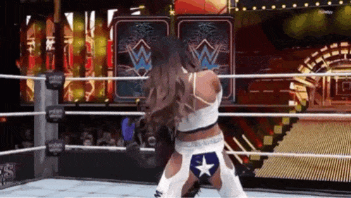 two women are wrestling in a wrestling ring on a tv show .