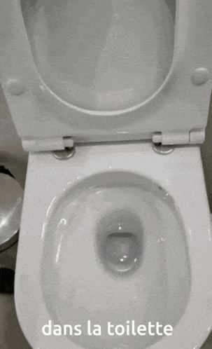 a toilet with the words dans la toilette on the bottom