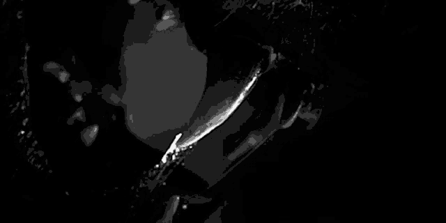 it is a black and white photo of a person drinking water .