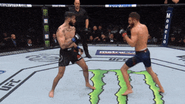 two men are fighting in a ufc ring with a monster on the floor