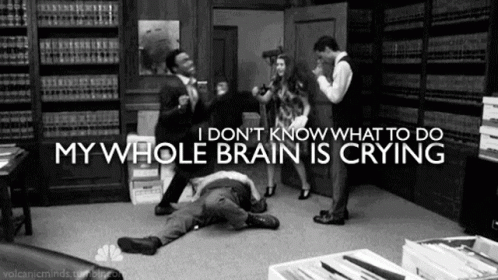 Tv Shows Television GIF - Tv Shows Television My Whole Brain Is Crying GIFs
