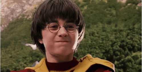 Oh No Harry Potter GIF - Oh No Harry Potter Dammit GIFs