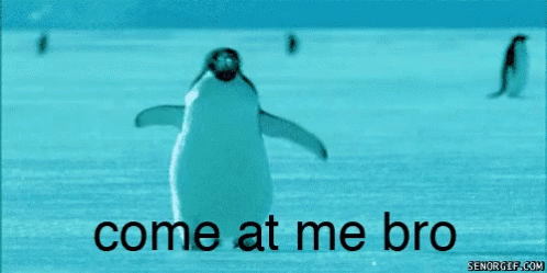 Yes Penguin GIF - Yes Penguin Come At Me GIFs