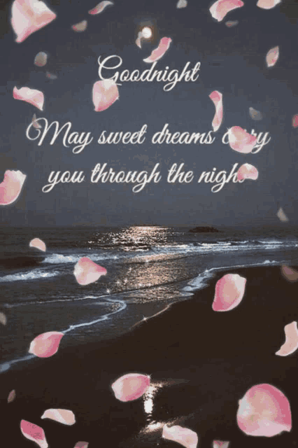 a picture of a beach with petals falling and the words goodnight may sweet dreams carry you through the night