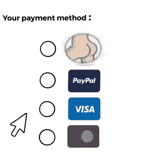 a paypal visa and mastercard payment method is shown on a white background