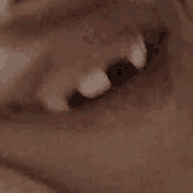 Smile Sweet Meme