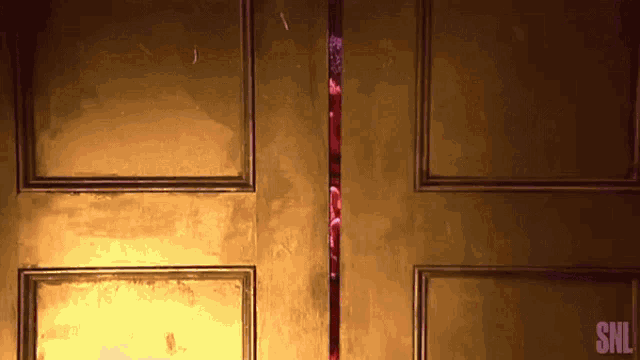 a snl logo can be seen on a door