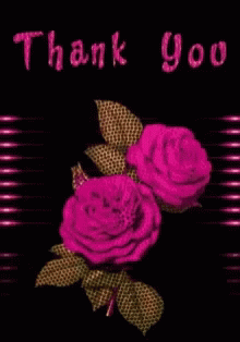 Thank You Pink Roses GIF - Thank You Pink Roses Black GIFs