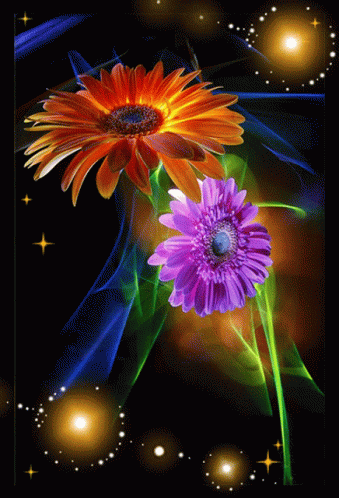 Neked Hoztam Flower GIF - Neked Hoztam Flower Daisy GIFs