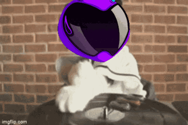 a cartoon character wearing a purple helmet is driving a go kart