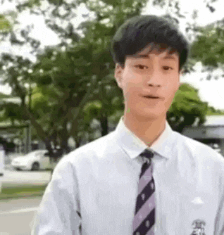 a young man in a white shirt and tie is standing in front of trees .