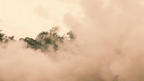 a large explosion with trees in the background and a lot of smoke
