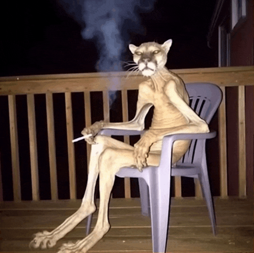 a statue of a cat sitting in a chair smoking a cigarette