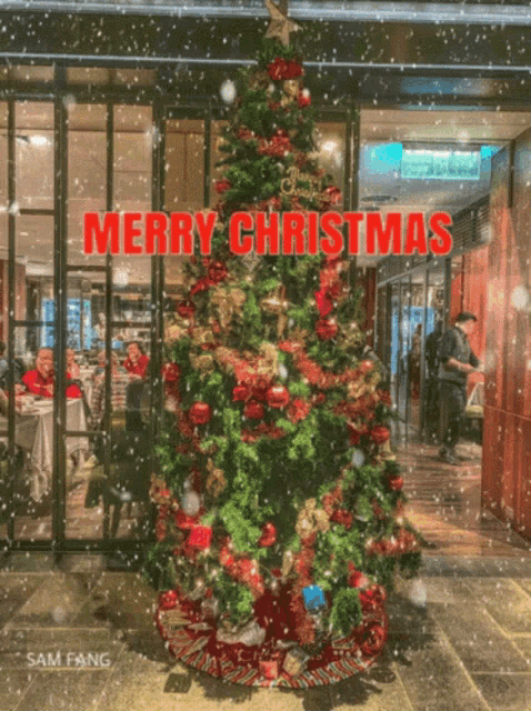 a christmas tree with the words merry christmas written on it