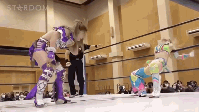 a couple of women are wrestling in a ring .