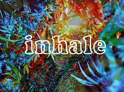 a colorful background with the word inhale written on it