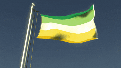 a yellow and green flag is flying in the wind