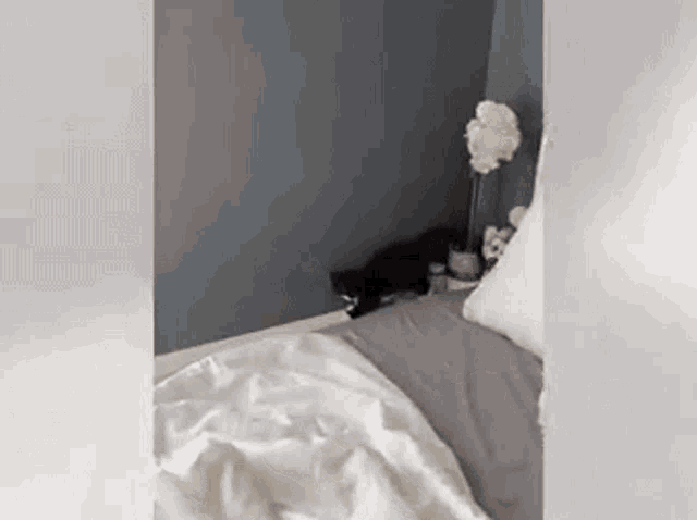 a black cat is laying on a bed in a bedroom .