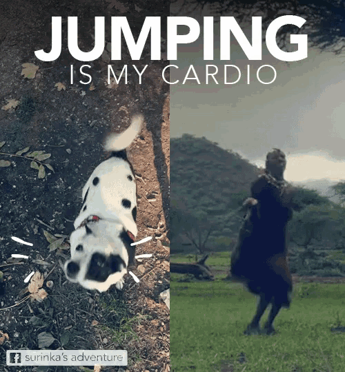 a poster that says jumping is my cardio with a picture of a dog and a man