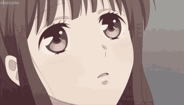 a close up of a girl 's face with the word animegate visible in the corner