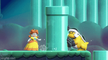 princess daisy is standing next to a duck in a video game
