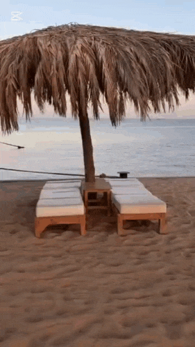 two lounge chairs under an umbrella on a sandy beach near the ocean