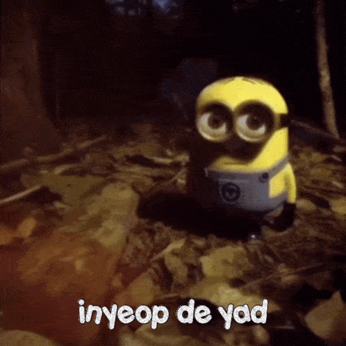 a picture of a minion with the words " inyeop de yad " below it