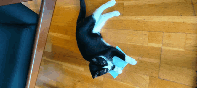 a black and white cat is laying on its back on the floor