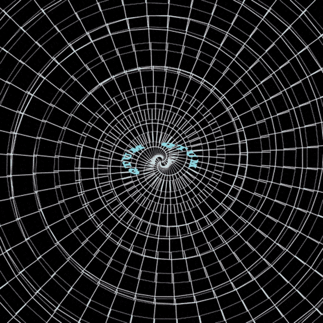 a circular pattern of numbers with a blue circle in the center