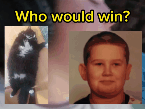Who Would Win Osuug GIF - Who Would Win Osuug Iirox GIFs