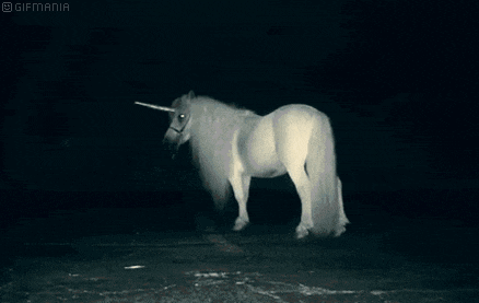 a white unicorn with a horn standing in the dark .
