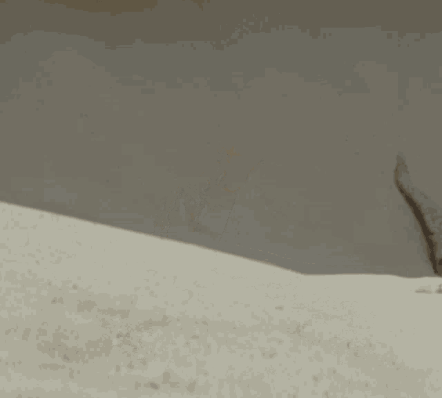a hand is sticking out of the sand and reaching for something