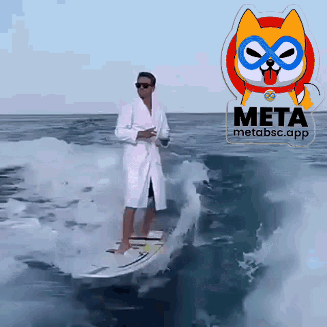 Metasurfing GIF - Metasurfing GIFs