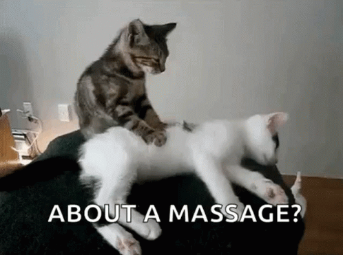 Massage Massaging GIF - Massage Massaging Give Me A Massage GIFs