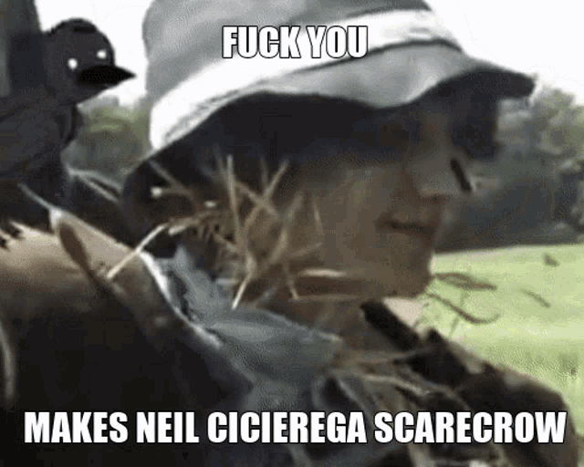 a scarecrow with the words fuck you makes neil cicierega scarecrow