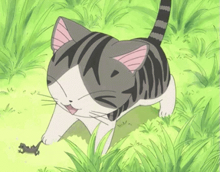 Cat Anime GIF - Cat Anime Kawaii GIFs