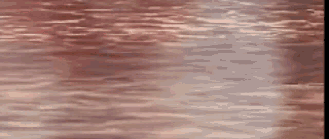 a man is paddling a red kayak in the water .