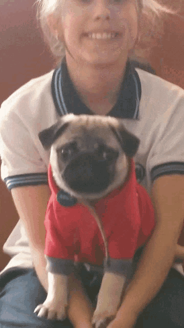 a girl is holding a pug puppy wearing a red sweater