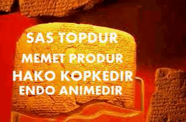 a piece of clay with the words sas topdur memet produk hako kopkedir endo animedir written on it .