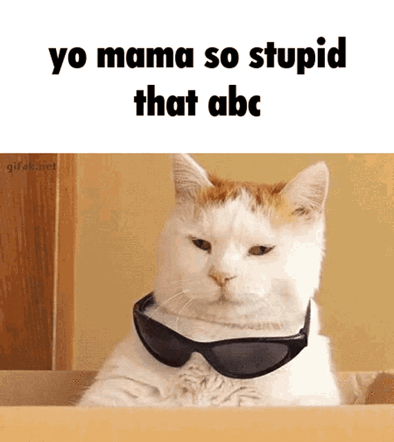 Yo Mama Abc GIF - Yo Mama Abc Cat GIFs