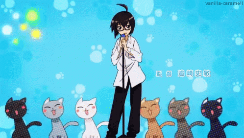 Anime Acchi Kocchi GIF - Anime Acchi Kocchi Cats GIFs