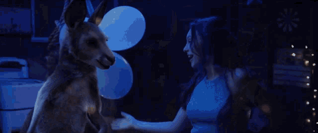 a kangaroo is standing next to a woman with blue balloons in the background