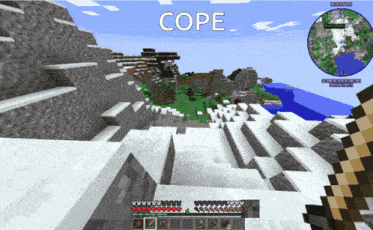 a screenshot of a video game with the word cope on the bottom