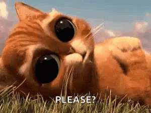 Aww Pussinboots GIF - Aww Pussinboots Shrek GIFs